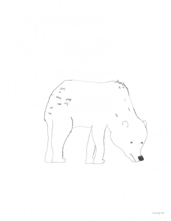 Happy Polar by Lawrence Olive